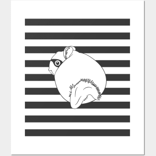 Prison Chinchilla Thief Posters and Art